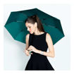 Picture of AUTOMATIC UMBRELLA TEAL